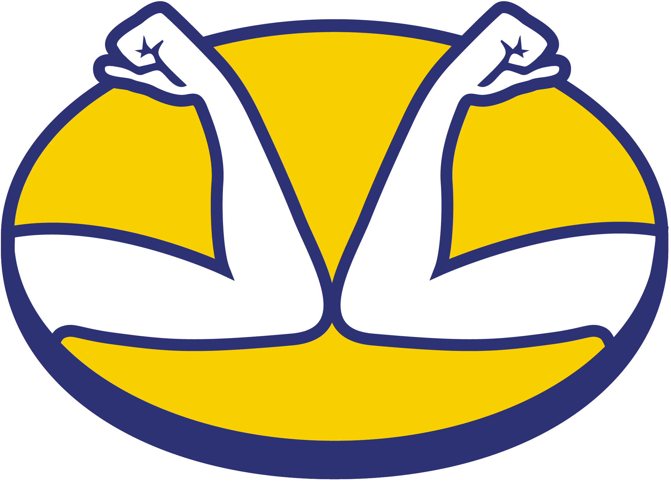 MercadoLibre